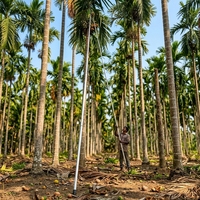 Palo para Recoger Frutas de 6 Metros / Palos para Cosecha de Coco de 60 Pies / Palos para Cosecha de Aceite de Palma / Cosechador de Coco / Palos para Cosecha de Nuez de Areca