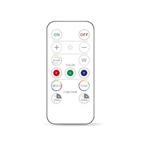 Lampe à LED alimentée par batterie Télécommande RGBW 16 couleurs LED sous la lumière de l'armoire pour la décoration de la chambre à coucher