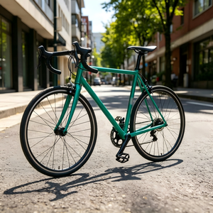 Cadre de vélo de route Worldcycle HL10CRMO en acier chromoly, 26 pouces, compatible avec les freins à disque, couleur personnalisée, cadre de vélo de ville vintage - Product Image 6