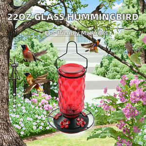 Comedero para Colibríes de Vidrio Ecológico Pioneera de 22oz con Base de Metal con Recubrimiento en Polvo - Comedero para Pájaros Colgante para Exteriores - Product Image 2
