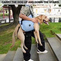 Harnais de transport pour chien HIPHOPPET en polyester, respirant, durable, avec boucle à dégagement rapide, ajustable, pour petits chiens