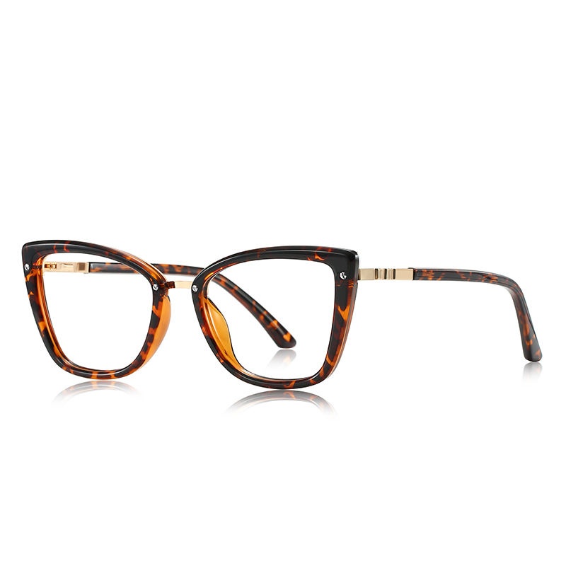 กระดองเต่า C3