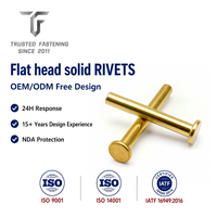 Rivets plats en aluminium TianFang pour boîtiers d'éclairage, finition peinte, devis rapide, tailles personnalisées disponibles