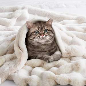 हाइड लेन लक्जरी फ्फी खरगोश फर कंबल-सोफे, सोफे, बेडरूम के लिए अल्ट्रा सॉफ्ट आरामदायक कंबल - Product Image 3