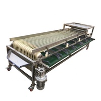 Machine de classement de Fruits rouges de Type piste multifonction commerciale à haute efficacité/trieur de cerises/équipement de tamisage des olives