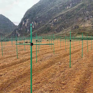 Estacas de Fibra de Vidro Haikuo para Plantas - Varas de Suporte para Jardim em FRP - Impermeáveis, Ecológicas e à Prova de Roedores para Viveiros e Estufas - Product Image 5