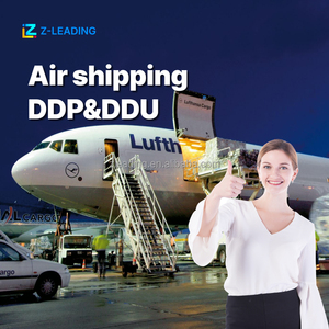 Ddp DAP toàn bộ tủ vận chuyển hàng hóa Giao Nhận Vận chuyển dịch vụ hậu cần mỹ Canada Mexico không khí vận tải đường bộ hậu cần Điều Lệ chuyến bay - Product Image 1