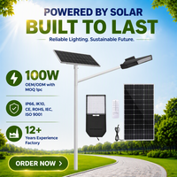 Éclairage solaire LED extérieur 100 W avec télécommande, sans raccordement au réseau, pour la sécurité des routes/chemins, température de couleur multiple, étanche IP66, LiFePO4