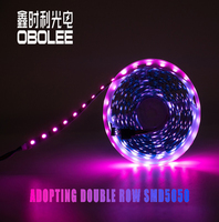 Lampu Strip LED RGB 5mm Satu Baris 120 LED/m 12V 24V Dapat Berubah Warna Fleksibel Dapat Dipotong untuk Kabinet Kamar Tidur Dekorasi Rumah