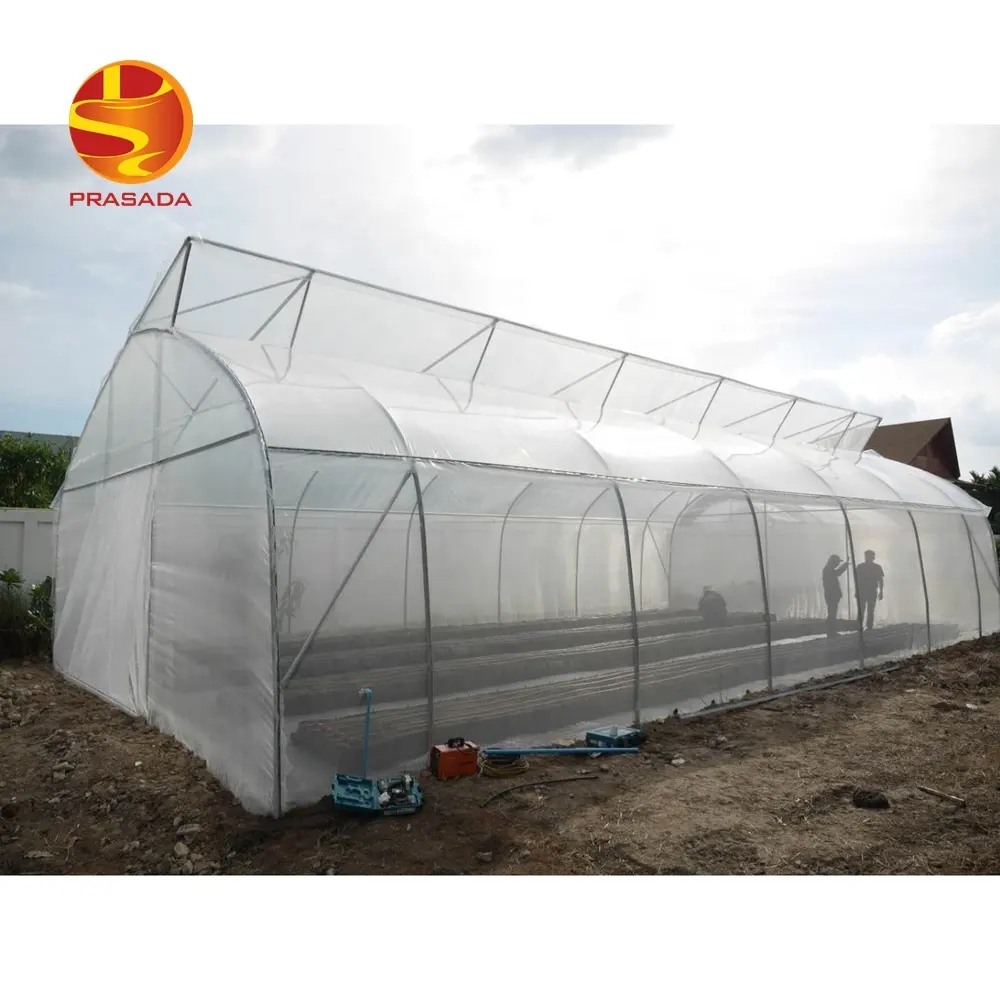 Prasada low cost PE film single-span green house galvanized structure