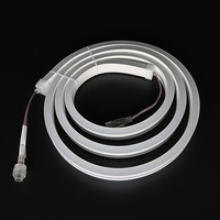 Ruban LED néon flexible en silicone magique 12x20mm, étanche IP67, lumière LED RGB pour aménagement paysager 12V/24V