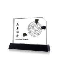 Plaque de récompense en cristal K9 sur mesure avec base noire, hauteur de 180 mm, forme rectangulaire polie, logo personnalisé