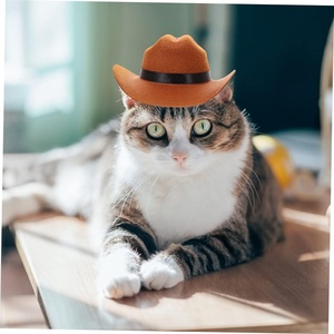 Sombrero Retro Británico de Tela No Tejida para Gatos, Diseño Vaquero Occidental Marrón, para Todas las Estaciones, Marca 1 - Product Image 1