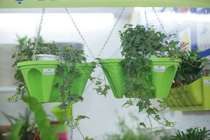 แนวตั้ง Hydroponic แขวนดอกไม้หม้อ - Product Image 6