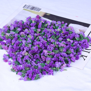 1kg 100% flores secas naturales/hierbas/sabor té no me olvides para decoración/hacer velas/Joyería de resina/bombas de baño - Product Image 2