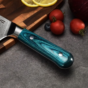 Custom 6 Pcs Damasco Juego <span class=keywords><strong>de</strong></span> <span class=keywords><strong>cuchillos</strong></span> <span class=keywords><strong>de</strong></span> madera Pakka japonés Chef <span class=keywords><strong>Cuchillos</strong></span> <span class=keywords><strong>de</strong></span> cocina profesional <span class=keywords><strong>con</strong></span> soporte magnético - Product Image 4