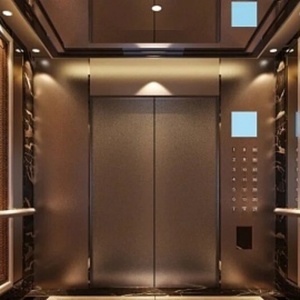 Ascensor Vertical Hidráulico Moderno para Discapacitados, Elevador Residencial para Interiores, Uso en Hoteles, Personalizable para Dos Pisos, Capacidad de Elevación 300/450 kg - Product Image 1