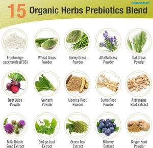 Fórmula Intestinal Probiótica Feminina OEM 60 Bilhões de UFC 14 Cepas em Pó/Tabletes/Cápsulas Certificada ISO Equilíbrio do PH - Product Image 3