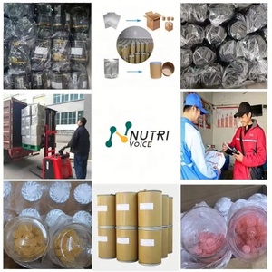 Cápsulas de Suplemento OEM em Lote de 300mg 500 Extratos de Ginseng e <span class=keywords><strong>Ginkgo</strong></span> Biloba para Adultos Não Recomendado para Mulheres Grávidas - Product Image 6