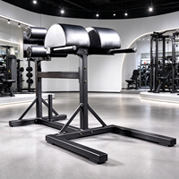 Chaise romaine GHD réglable, banc d'hyperextension, machine de développement des muscles fessiers et des ischio-jambiers pour l'entraînement du tronc et du dos, équipement de gym professionnel