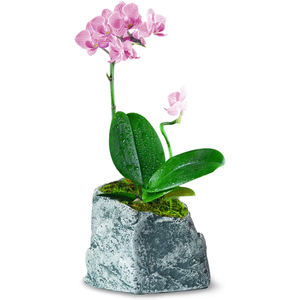 Nuovo Design OEM Bulk Nordic Mini <span class=keywords><strong>balcone</strong></span> cemento cemento succulente verde decorativo vaso <span class=keywords><strong>da</strong></span> esterno Stand per pianta - Product Image 3