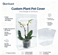 Empaque de Blíster Transparente Personalizado de PET Reciclable de 1 mm de Grosor para Bandejas de Semilleros, Caja Transparente para Viveros