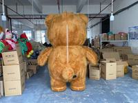 Costume de mascotte gonflable personnalisé pour adultes, costume de mascotte Care Bear pour mariage