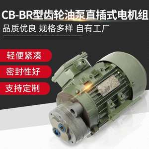 ชุดมอเตอร์ขับเคลื่อนโดยตรงพร้อมปั๊มน้ำมันเกียร์ชนิด CB-BR ที่จัดหาโดยผู้ผลิต มีหลายขนาด สำหรับปั๊มเลื่อย ปั๊มน้ำมันในสนามน้ำมัน - Product Image 3