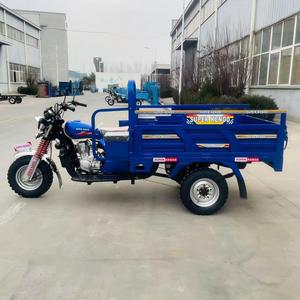 <span class=keywords><strong>Triciclo</strong></span> <span class=keywords><strong>de</strong></span> <span class=keywords><strong>Carga</strong></span> <span class=keywords><strong>Económico</strong></span> Motorizado al por Mayor, Consumo <span class=keywords><strong>de</strong></span> Combustible <span class=keywords><strong>de</strong></span> 3.4L/100km, <span class=keywords><strong>Triciclo</strong></span> <span class=keywords><strong>de</strong></span> Gasolina <span class=keywords><strong>de</strong></span> 150cc, Motocicleta <span class=keywords><strong>de</strong></span> 3 Ruedas - Product Image 6