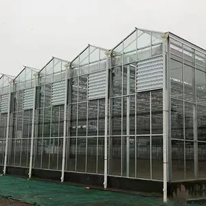 עמיד בפני רוח טרומי חד פעמי גנים חלקי חממה חממה זכוכית ויקטוריאנית בית ירוק חממות חד-תוחם