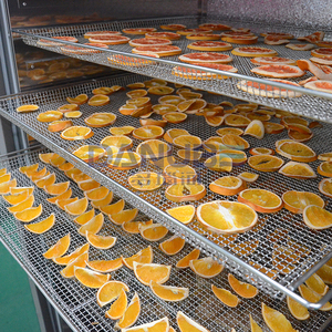 Horno de Secado de Cáscaras de Naranja de Alta Calidad, Deshidratador de Naranjas, Máquina de Procesamiento de Cáscaras de Mandarina - Product Image 3