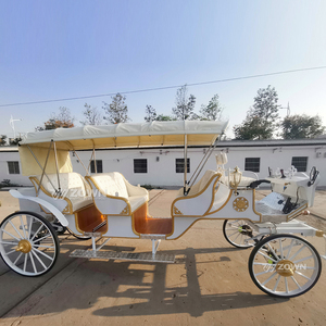 Carruaje Eléctrico Personalizado Directo de Fábrica, Carruaje Turístico Vintage para Parques y Lugares Turísticos - Product Image 3