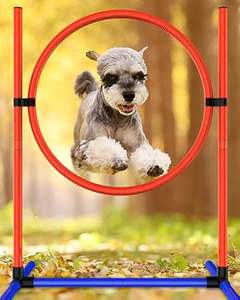 Güvenli aşınmaya dayanıklı eğlenceli kolay kurulum Pet eğitim ekipmanları köpek engel eğitim dişli Pet oyun ve köpek koşu eğitim için - Product Image 1