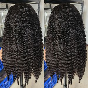 Rauwe Birmaanse krullende pruik, 30 inch Full HD kant-frontale pruik groothandel, 12A graad origineel Vietnamees rauw maagdelijk mensenhaar pruiken - Product Image 3