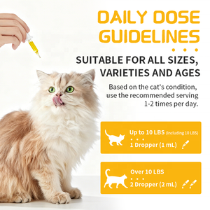 犬用健康補助ドロップペット用天然肝臓サポート液猫ブロッコリーキノコ - Product Image 5