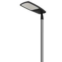 Farolas LED para Alumbrado Público al por Mayor, Resistentes al Agua IP65, Resistentes al Calor, Resistentes a las Heladas, Fáciles de Instalar
