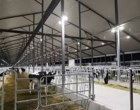 Ferme moderne en acier et métal de couleur verte Garantie de la Chine pour la durée de vie de la construction d'un hangar d'élevage de bovins, de poulets et de moutons