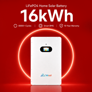 แบตเตอรี่โซลาร์เซลล์สำหรับบ้านแบบไฮบริด 16 กิโลวัตต์ชั่วโมง LiFePO4 51.2 โวลต์ 314 แอมป์ชั่วโมง แบบติดผนัง ระบบ ESS สำหรับสำรองไฟฟ้าในบ้านแบบออฟกริด - Product Image 2