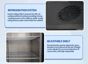 Frigorifero Verticale a Quattro Porte in Acciaio Inox da 1050L Progettato per Climi Tropicali per Negozi di Alimentari - Product Image 4
