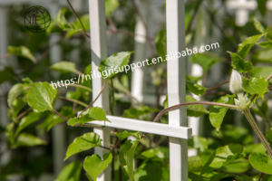 Enrejado/escalera/estante de bambú con soporte para plantas de colores de tamaño personalizado <span class=keywords><strong>NIF</strong></span> para vivero - Product Image 4