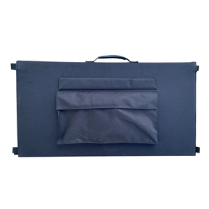 Oferta especial, bolsa de carga con Panel Solar de 250W, cargador de teléfono móvil, banco de energía para acampar al aire libre, bolsa Solar plegable portátil, envío gratis - Product Image 5
