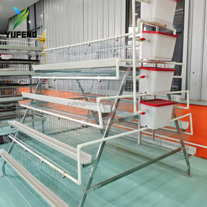 Cage à poules pondeuses automatique de type batterie à 4 niveaux pour 160 poules, pour l'élevage de plus de poulets, à vendre - Product Image 2