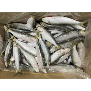 Sardinas Congeladas al por Mayor, Sardinas Congeladas a Granel, <span class=keywords><strong>Precio</strong></span> por Tonelada de Pescado Congelado 6-8 - Product Image 5