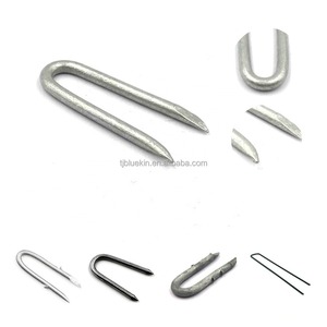 Clous pour clôture en fil barbelé/clous pour clôture en U galvanisés <span class=keywords><strong>Agrafes</strong></span> pour clôture - Product Image 2