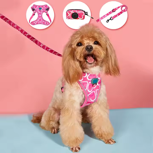 Sıcak satış Premium kırmızı kalp baskılı köpek koşum tasma ve Poop çanta tutucu Set nefes evcil hayvan koşumu toptan - Product Image 2