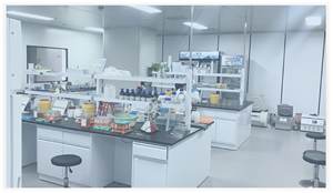 Kit ELISA FAM19A5 humain, test de détection quantitative de protéines à haute sensibilité - Product Image 5