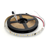 Bande LED à eau courante bicolore 2700K-6500K SPI 576LEDs/m, adressable, CCT COB, guirlandes lumineuses, télécommande, WS2811 IC DC24V