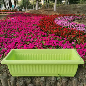Ronbo — <span class=keywords><strong>Pot</strong></span> <span class=keywords><strong>de</strong></span> fleurs en plastique, bac <span class=keywords><strong>de</strong></span> <span class=keywords><strong>balcon</strong></span> coloré, rectangulaire, <span class=keywords><strong>Pot</strong></span> pour plantes, bon marché, 34x19, offre spéciale - Product Image 4