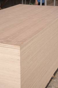 Contreplaqué en bois de caoutchouc et placage de bouleau - Contreplaqué à placage rotatif en eucalyptus, surface plane, double face décorative - Product Image 4