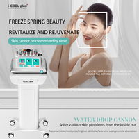 Appareil de beauté domestique amélioré - Machine de soin du visage